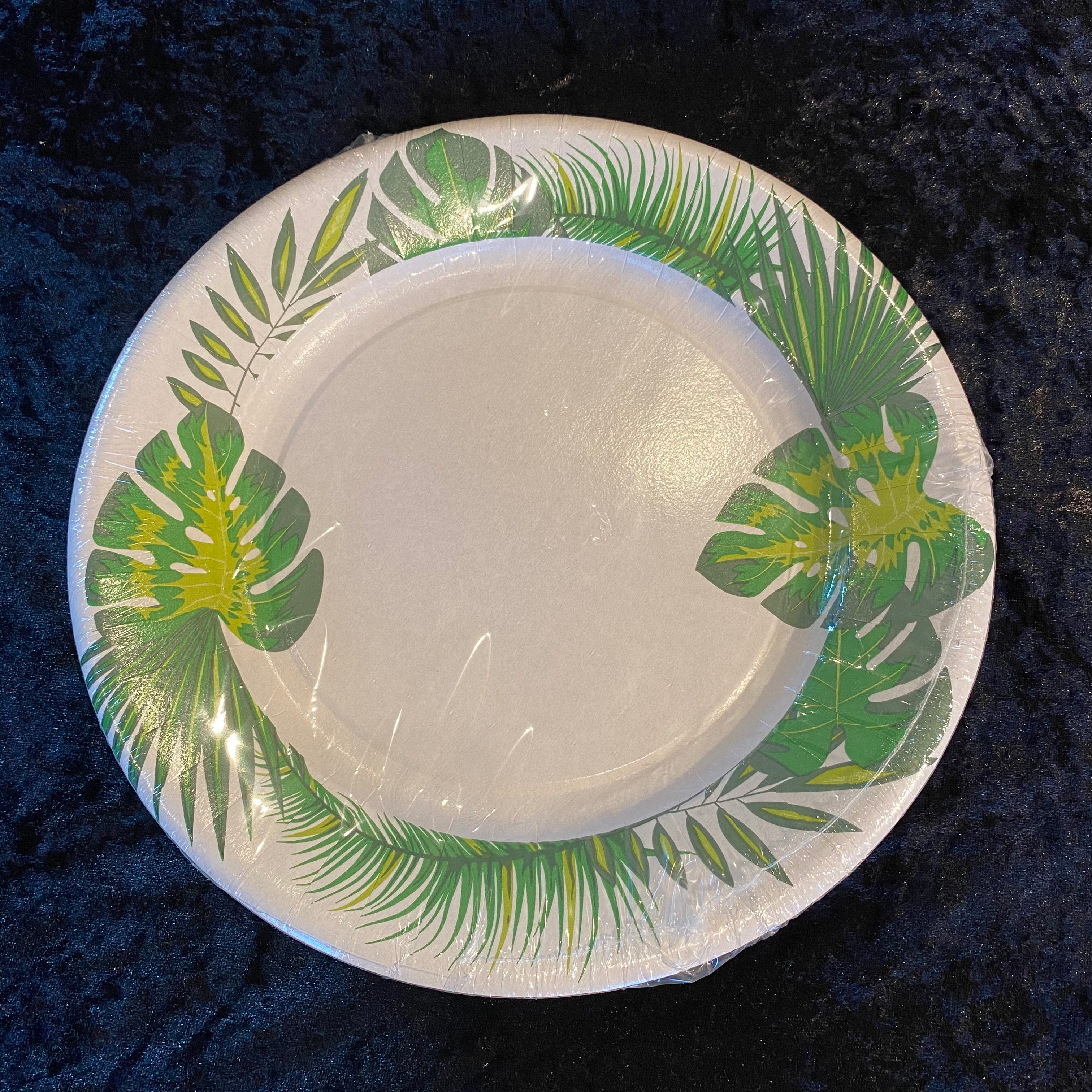 10 assiettes 27cm carton Vegetal