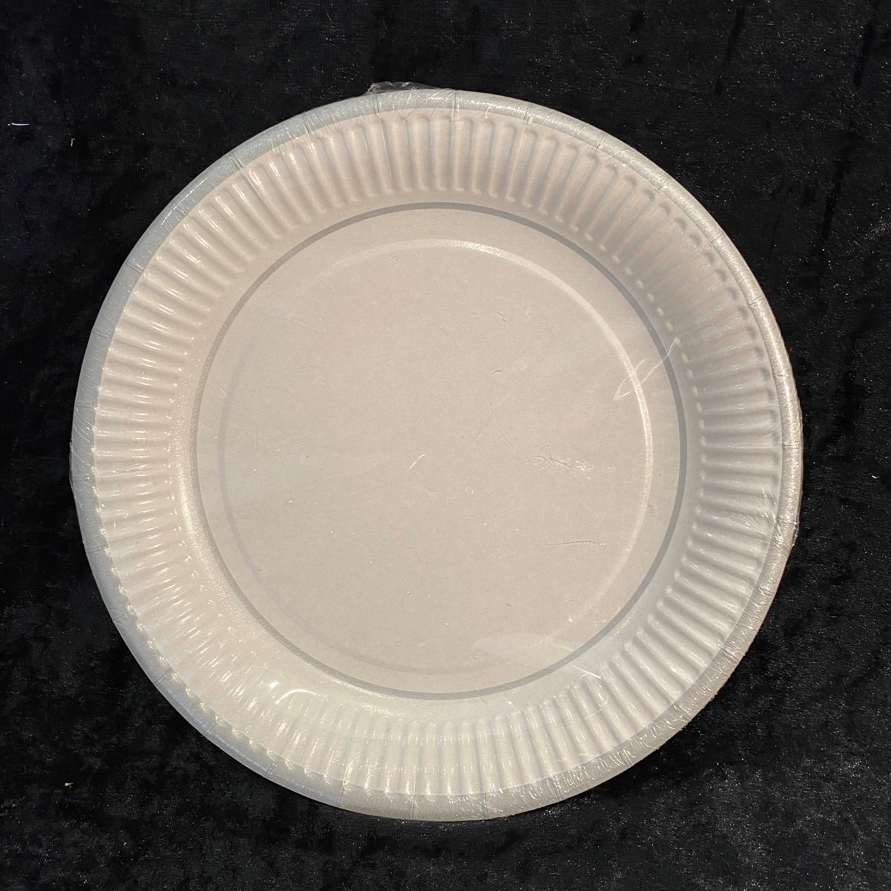 10 assiettes 23cm carton blanchse liseré argent