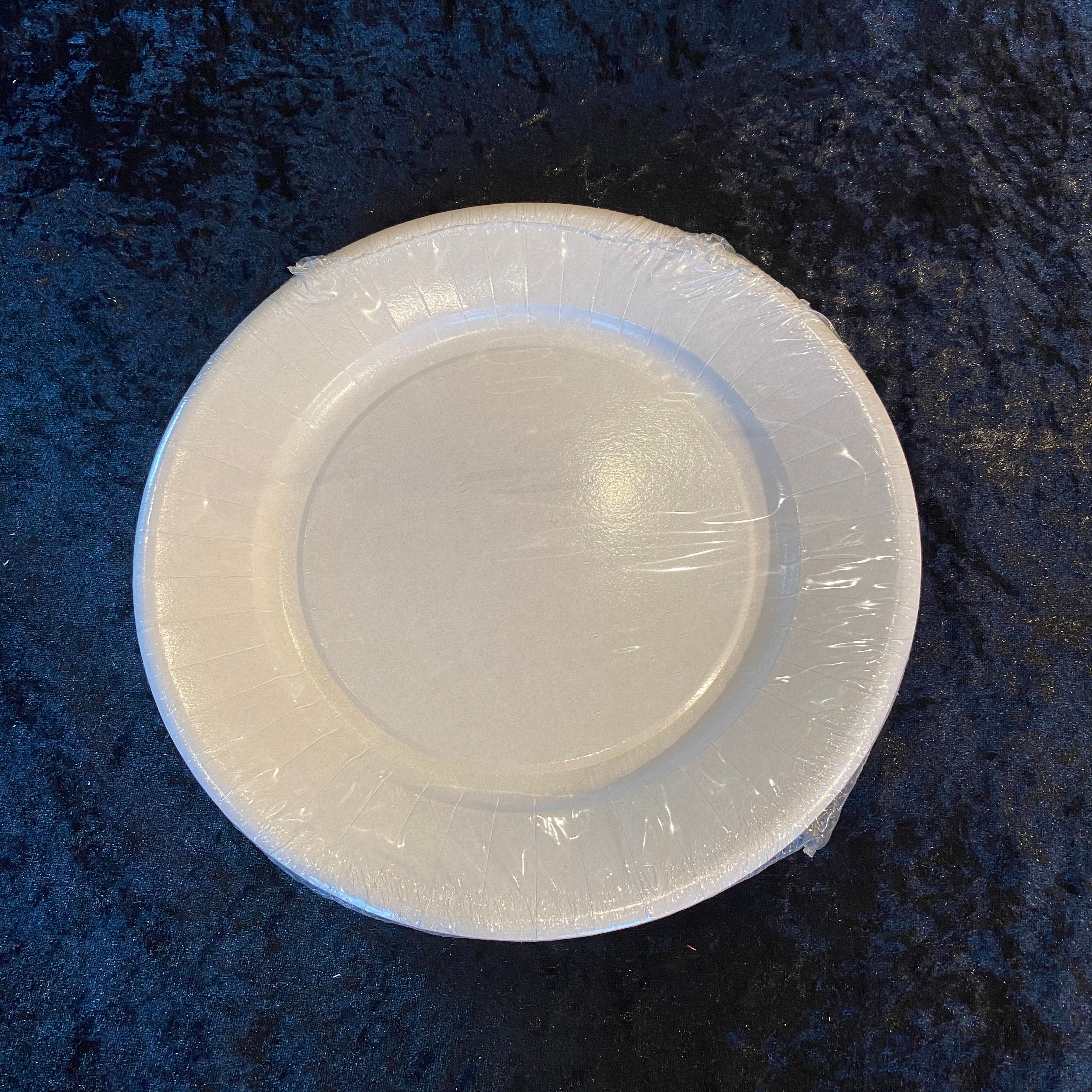 10 assiettes carton 27cm blanches