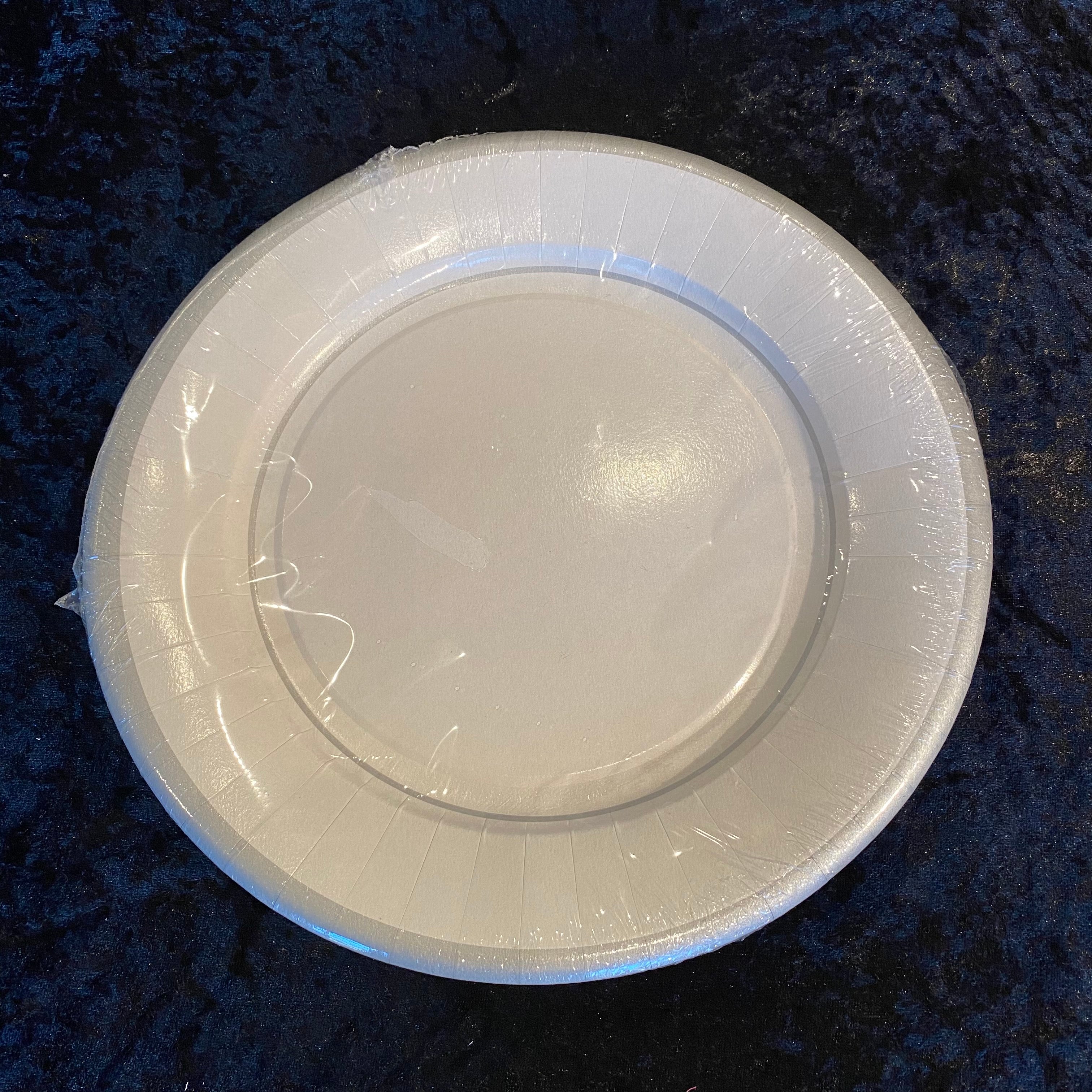 10 assiettes 27cm carton blanches liseré argent