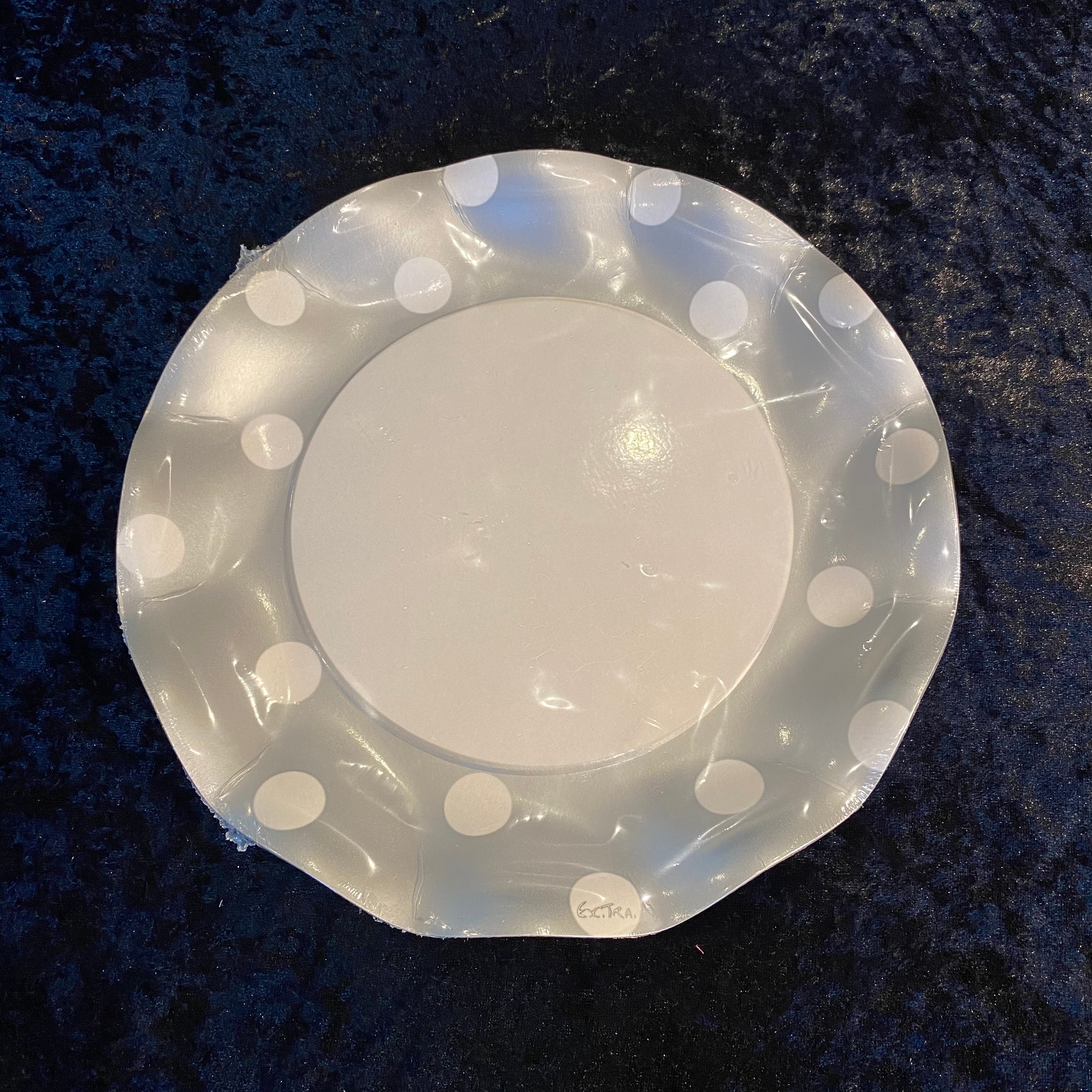10 assiettes corolle 27cm carton pois argent