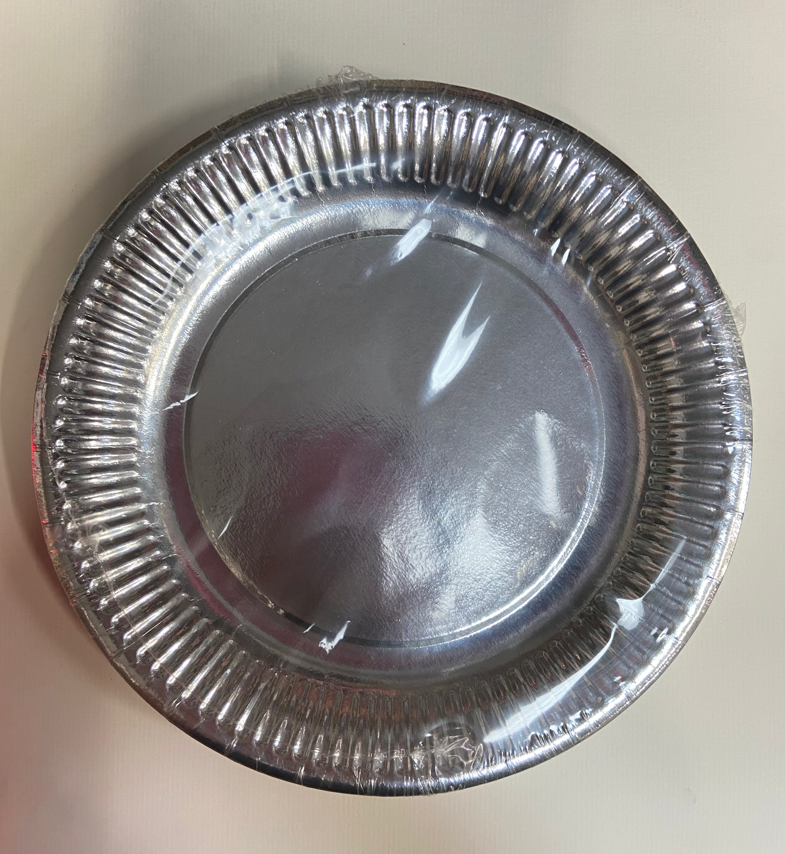 10 assiettes 23cm carton argent