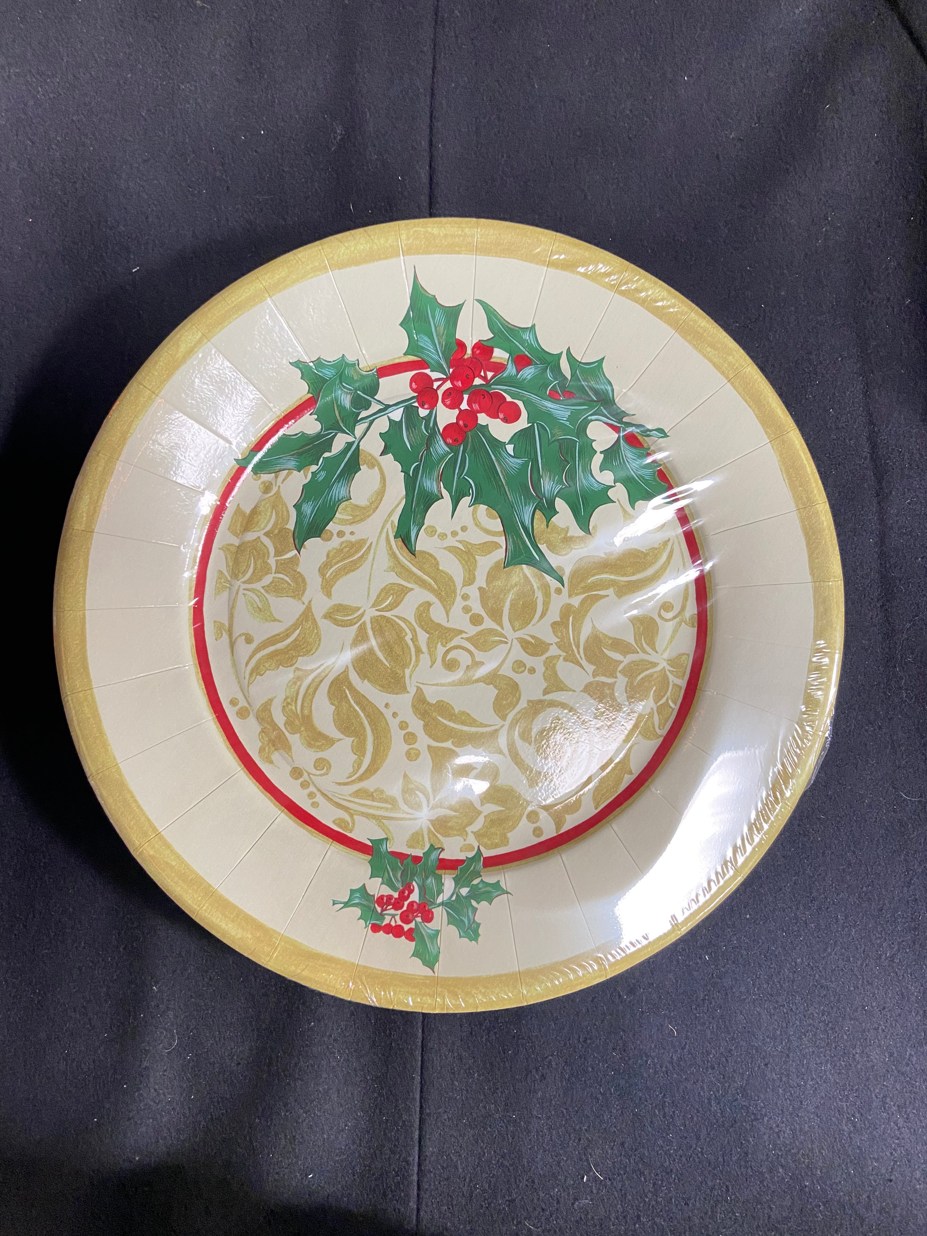 10 assiettes carton 27cm houx de Noël
